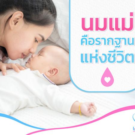 มูลนิธิศูนย์นมแม่แห่งประเทศไทย